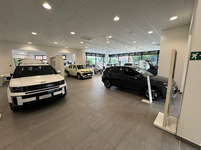dealer showroom